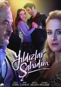 Звезды – мои свидетели (2017)